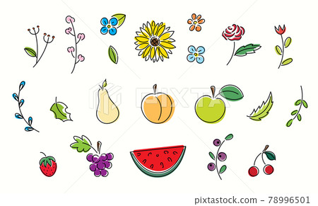 Bright line art set of fruits and flowers. Summertime collection of icons 78996501