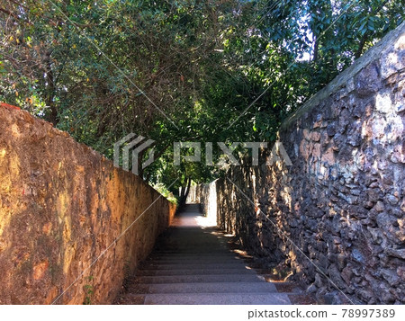 ladder leading down, tight space, tangle of tree branches, light at the end of the path ladder leading down, tight space, tangle of tree branches, light at the end of the path 78997389