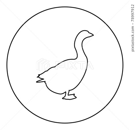 Goose Gosling Geese Anser Gander silhouette in Goose Gosling Geese Anser Gander silhouette in 78997912