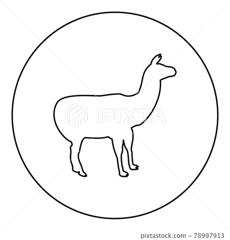 Alpaca Llama Lama Guanaco silhouette in circle Alpaca Llama Lama Guanaco silhouette in circle 78997913
