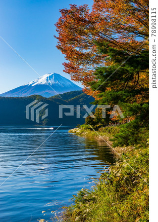 山梨縣富士河口湖町秋天的富士山和河口湖 山梨縣富士河口湖町秋天的富士山和河口湖 78998115