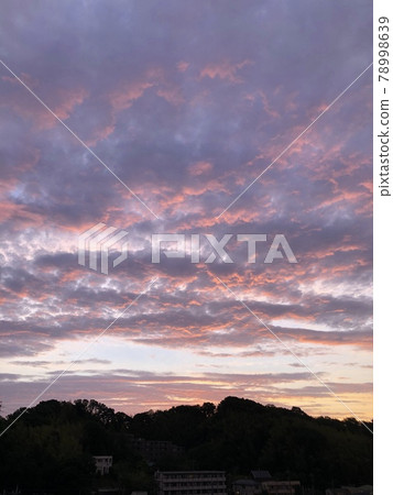 Pink purple evening sky Pink purple evening sky 78998639