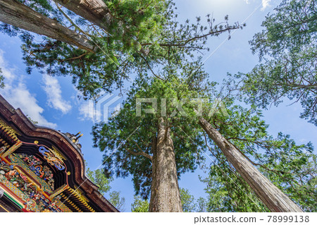 進入聖地(日本-埼玉-三峰神社) 進入聖地(日本-埼玉-三峰神社) 78999138