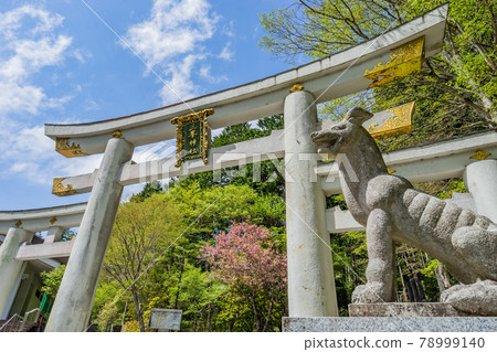 進入聖地（日本-埼玉-三峰神社） 78999140