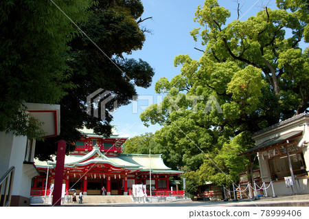 富岡八幡宮 富岡八幡宮 78999406
