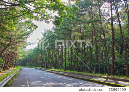 [福岡市]生松原 78999969