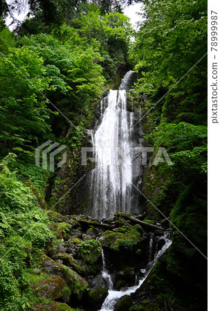 回顧瀑布 回顧瀑布 78999987