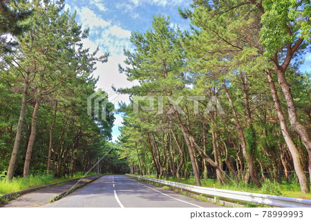 [Fukuoka City] Raw Matsubara 78999993