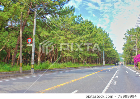 [Fukuoka City] Raw Matsubara 78999994