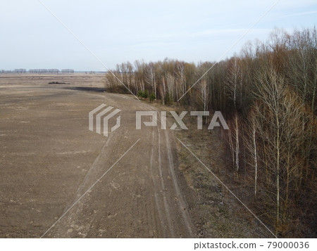 Agricultural field near the forest, aerial view. Landscape. Agricultural field near the forest, aerial view. Landscape. 79000036