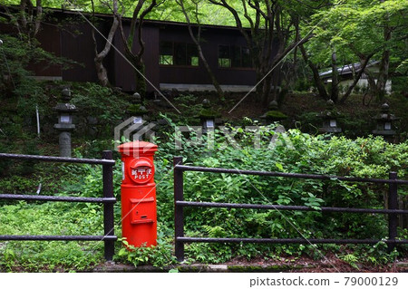 I found a mailbox in the fresh green! 79000129