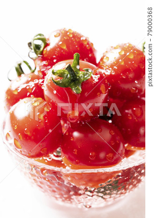 Fresh Little Mini Tomato Fresh Little Mini Tomato 79000368