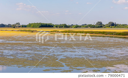 Natural Reserve Lake Hungary Natural Reserve Lake Hungary 79000471