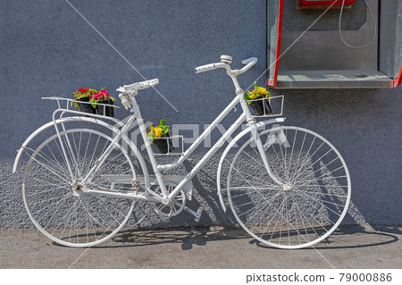 White Bicycle Flowers White Bicycle Flowers 79000886