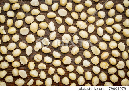 macadamia nuts background texture macadamia nuts background texture 79001079