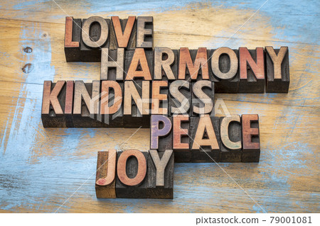 love, harmony, kindness, peace and joy 79001081