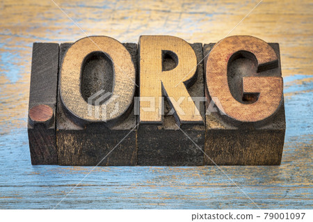 dot org internet domain dot org internet domain 79001097