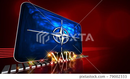 NATO flag and text reflected on the floor 3-1-1 79002333