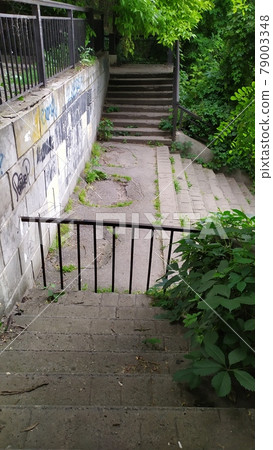 an old concrete staircase overgrown with grass an old concrete staircase overgrown with grass 79003348