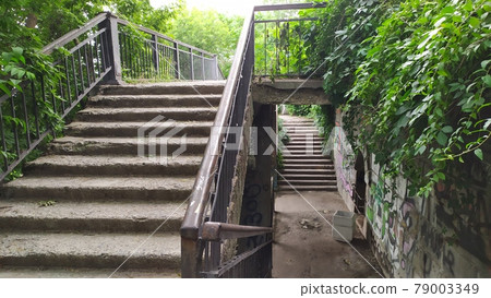 an old concrete staircase overgrown with grass an old concrete staircase overgrown with grass 79003349