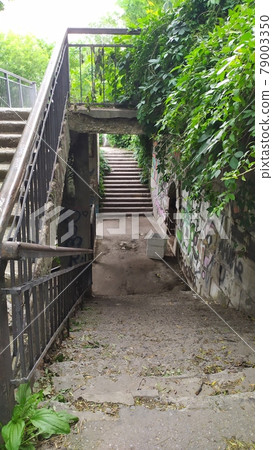 an old concrete staircase overgrown with grass an old concrete staircase overgrown with grass 79003350
