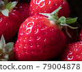 Close-up of Freshly Harvested Strawberries 79004878