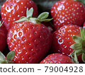 Close-up of Freshly Harvested Strawberries 79004928