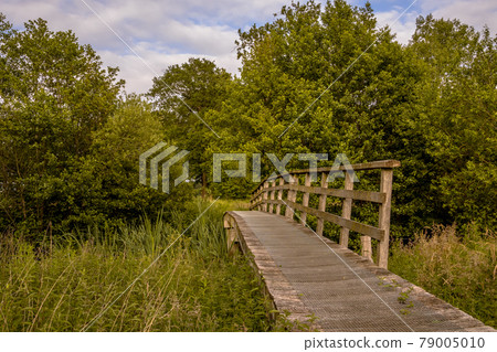 Bridge on walking track in green grassland river valley Bridge on walking track in green grassland river valley 79005010