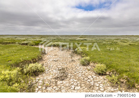 Tidal marshland Ameland 79005140
