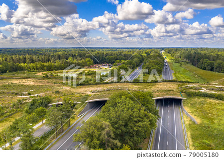 Ecoduct wildlife crossing Ecoduct wildlife crossing 79005180