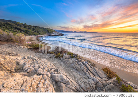 Coastal vegetation Cap Corse Coastal vegetation Cap Corse 79005183