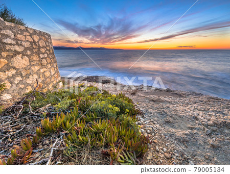 Coastal vegetation Cap Corse Coastal vegetation Cap Corse 79005184