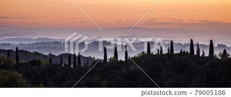 Cypress landscape tuscany Cypress landscape tuscany 79005186