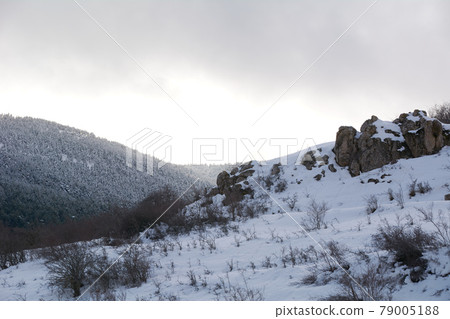 Snowy and cold mountain forest landscape Snowy and cold mountain forest landscape 79005188