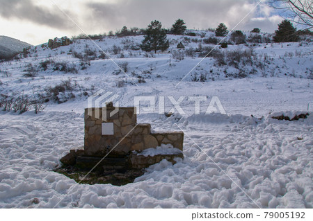 Snowy and cold mountain forest landscape Snowy and cold mountain forest landscape 79005192