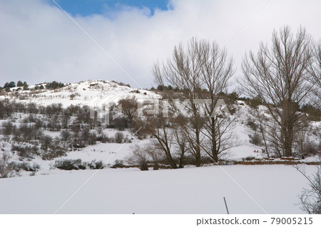 Snowy and cold mountain forest landscape 79005215