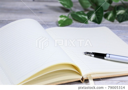 筆記和鋼筆 筆記和鋼筆 79005314