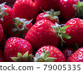 Close-up of Freshly Harvested Strawberries 79005335
