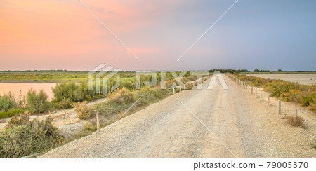 Road through lagoons of Camarque Road through lagoons of Camarque 79005370