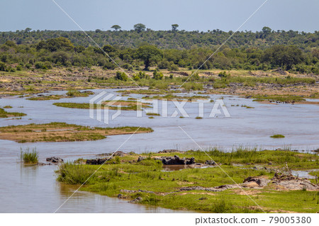 Olifants river from H1 bridge 79005380
