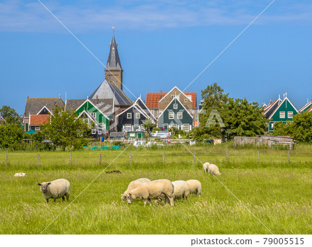 Traditional dutch Village scene with colorful wooden houses 79005515