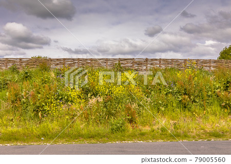 Ecological sound barrier earth wall with willow fence 79005560