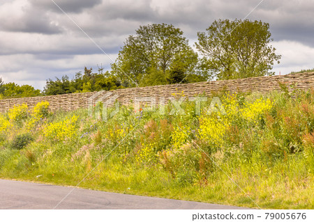 Ecological sound barrier earth wall with willow fence 79005676