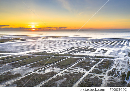 Aerial view over salt marsh plains Wadden Sea Aerial view over salt marsh plains Wadden Sea 79005692