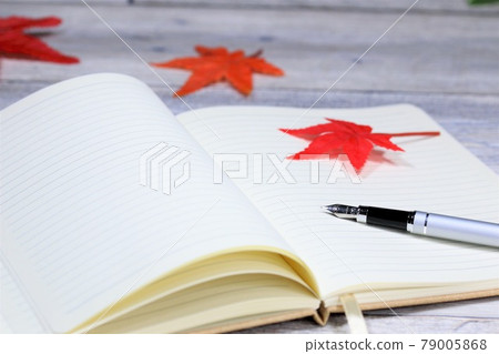 Notebook and fountain pen autumn 79005868