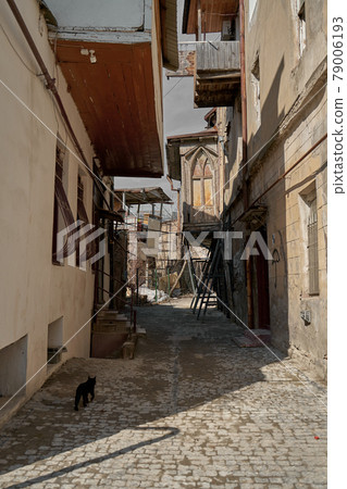 A stray black cat walks in the alley A stray black cat walks in the alley 79006193