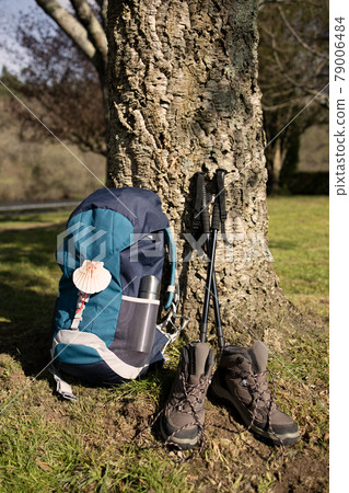 Backpack with seashell symbol of Camino de Santiago, trekking boots and poles leaning on a tree. Pilgrimage to Santiago de Compostela 79006484