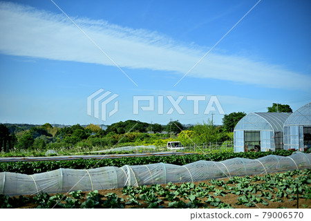 里山宜人的風景 79006570