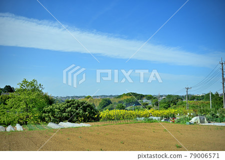 里山宜人的風景 79006571