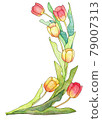 A bunch of rounded tulips 79007313
